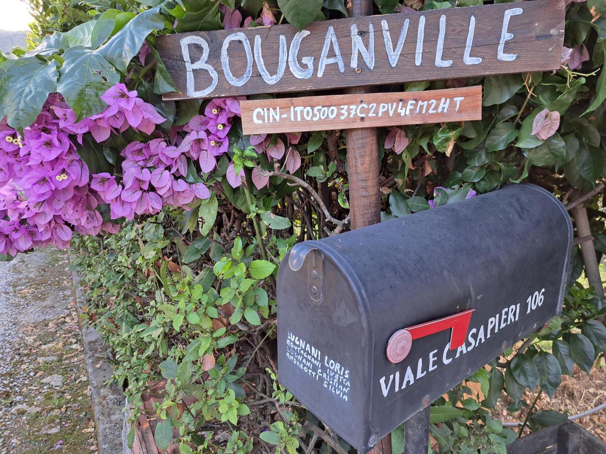 Casa Vacanze “Bouganville” Loc Avane Pisa Vecchiano Zewnętrze zdjęcie